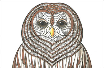 I Heart Barred Owls by Kim Russell