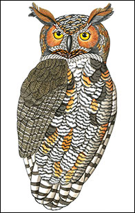 Renaissance Man by Kim Russell | Great Horned Owl | Birds In Art