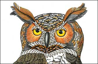 Renaissance Man by Kim Russell | Great Horned Owl | Birds In Art