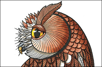 Rufous Detail by Kim Russell | Screech Owl | Birds In Art