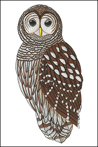 Soul Man by Kim Russell | Barred Owl | Birds In Art
