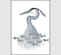 In Harmony by Kim Russell | Great Blue Heron 