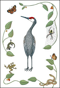 Crane Domain by Kim Russell | Sandhill Crane | Birds In Art