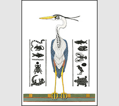 Heron Hieroglyphs by Kim Russell | Great Blue Heron