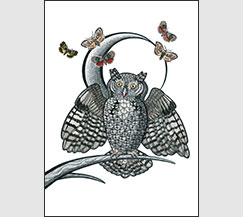 By the Light of the Moonl by Kim Russell | Screech Owl and Moths