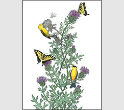 Purple and Gold by Kim Russell |Goldfinch and Tiger Swallowtail
